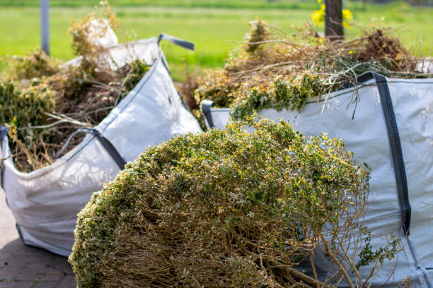 Best Basement Cleanout Services  in South Wilton, CT